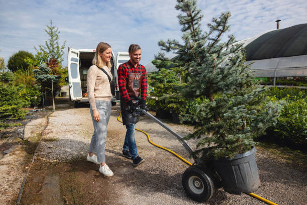 Professional Tree Services in Zion, IL